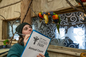 Animal keepers at West Midlands Safari Park have had a busy start to the year by conducting the annual animal count.