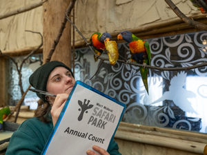 Supporting image for story: From ants to elephants: It’s annual count time at safari park