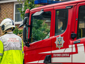 Supporting image for story: Shropshire firefighters in safety warning over Diwali firework parties