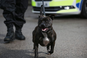 Supporting image for story