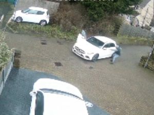 Supporting image for story: Watch as woman and elderly mother injured as they try to fight off violent car-jackers