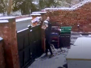 Supporting image for story: Watch: CCTV shows heartless thieves steal Christmas decorations from community grotto