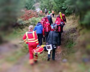 Supporting image for story