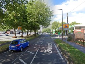 Supporting image for story: Police arrest passenger from stolen car that crashed but driver still sought