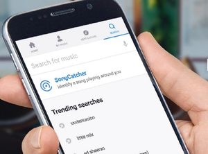 Supporting image for story