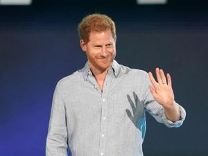 Supporting image for story: Harry praises frontline workers at LA vaccine concert