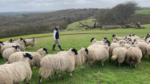 South Shropshire MP Stuart Anderson. 