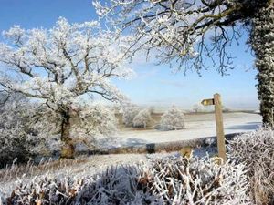 Supporting image for story: Walking in a winter wonderland