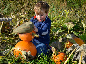 Supporting image for story: Warm weather expected this weekend – but make the most of it as Hurricane Ophelia is on the way