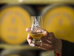 Supporting image for story: Whisky waste and fungi turned into compostable packaging