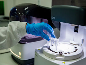 Supporting image for story: Further eight coronavirus deaths confirmed at region's hospitals