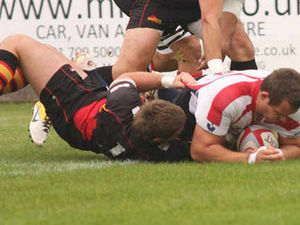 Supporting image for story: Saxons take sting out of the Bees