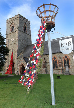 Llanfair Caereinion Poppies. Photo: Phil Blagg Photography