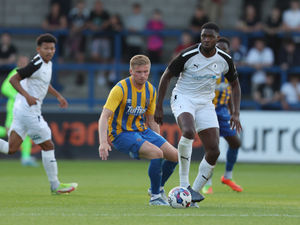 Supporting image for story: Lessons learned from Shrewsbury Town's derby draw