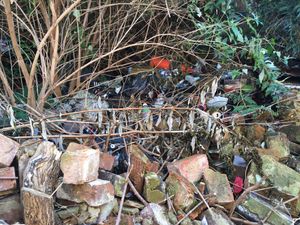 Overgrown Bell Alley in Willenhall has become a haven for fly-tippers and drug users