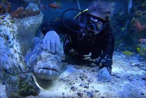 Supporting image for story