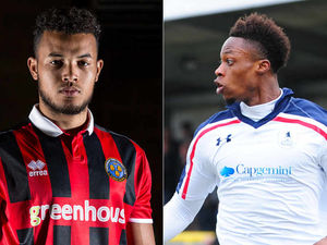 Supporting image for story: Calling Shrewsbury Town and AFC Telford United fans: Have YOUR say in the Shropshire Star fan survey - CLOSED