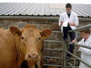 Supporting image for story: Shropshire's young farmers rally a success
