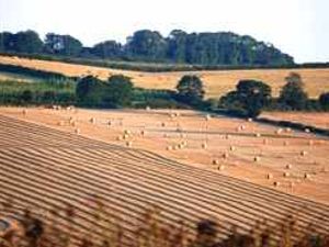 Supporting image for story: Family told to quit their farm