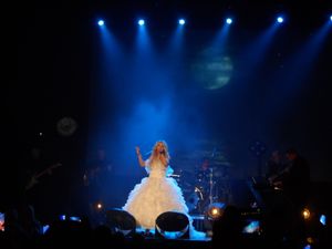 The Celine Dion Experience at Brierley Hill Civic Hall. Pictures Amanda Adams