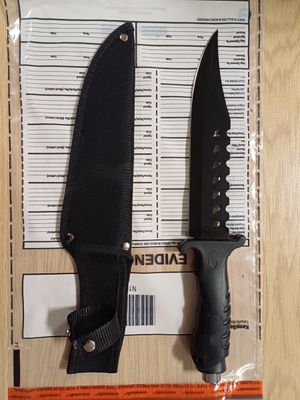 The knives which were seized from the stolen car