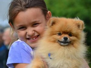 Supporting image for story: Dog show coming to Bridgnorth