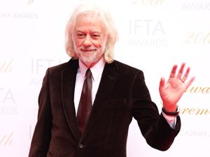 Bob Geldof at the 20th Irish Film and Television Academy (IFTA) Awards
