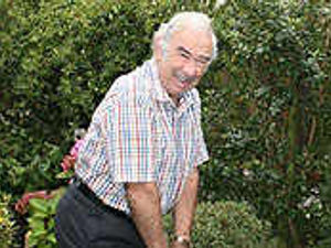 Supporting image for story: MRI claimed to ease arthritic pain