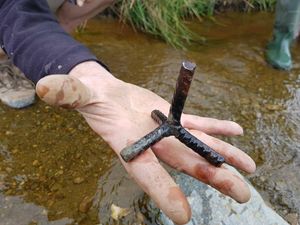 Supporting image for story: Green lane spiked