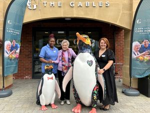 Supporting image for story: Care home joins art trail by adopting penguin