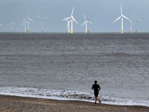 Supporting image for story: Technology cannot replace human coaches in obesity treatment – study