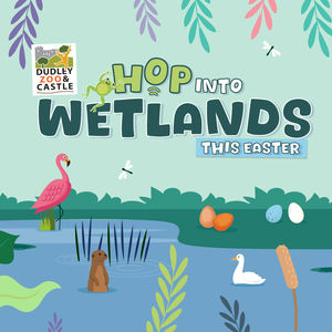 Hop into Wetlands