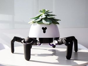 Supporting image for story: This little robot moves to keep your plants in optimal sunlight