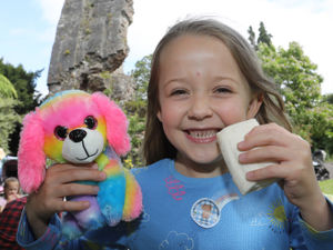 Supporting image for story: Picnic time for teddy bears as families gather in Bridgnorth for fun-filled day out