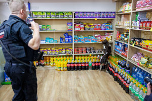 Griff and Bran, two trading standards sniffer dogs, helped lead the raid