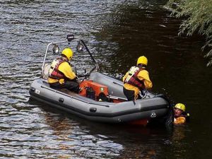 Supporting image for story: Appeal to find owner of dog stuck on Telford lake overnight