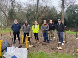 Supporting image for story: Housing developer plants 165 saplings in Wombourne 