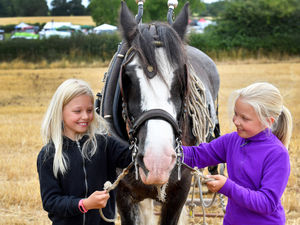 Supporting image for story: More than 10,000 people descend on last ever Trimpley Horse Show