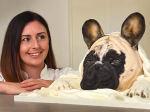 Supporting image for story: Eat Ronnie? You must be barking mad