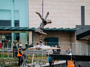 Supporting image for story: New sculpture dances into position in Telford town centre - in pictures