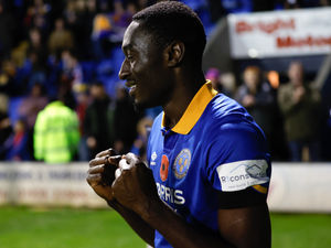 Supporting image for story: Shrewsbury Town handed Jason Sraha injury boost 