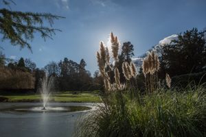 The restored gardens