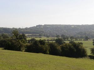 The Seven Cornfields is under threat of development