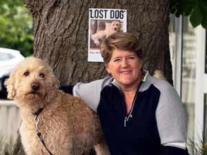 Supporting image for story: Clare Balding to host new programme seeking to find the UK’s missing dogs
