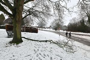 Trees and branches down including in the churchyard in Much Wenlock. Photo: Steve Leath