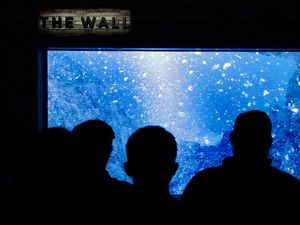 Supporting image for story: 8K TVs could soon be coming our way but are we ready for them?