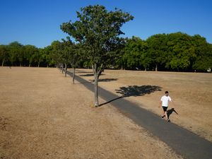 Supporting image for story: Nearly 600 heat-related deaths expected in UK heatwave, researchers estimate