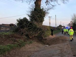 Supporting image for story: Arrest but no major injuries as overturned car ends up in field