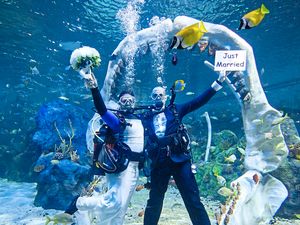Supporting image for story: Couple tie knot in shark tank at Bear Grylls Adventure