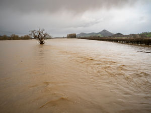 Supporting image for story: Investment in 'dilapidated flood defences' needed to stop farmers seeing crops ruined